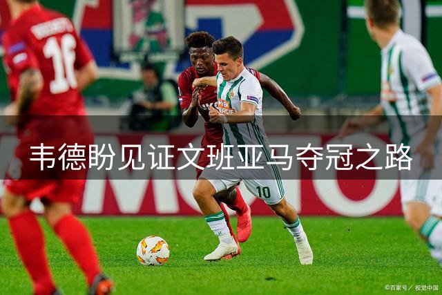 韦德盼见证文班亚马夺冠之路
